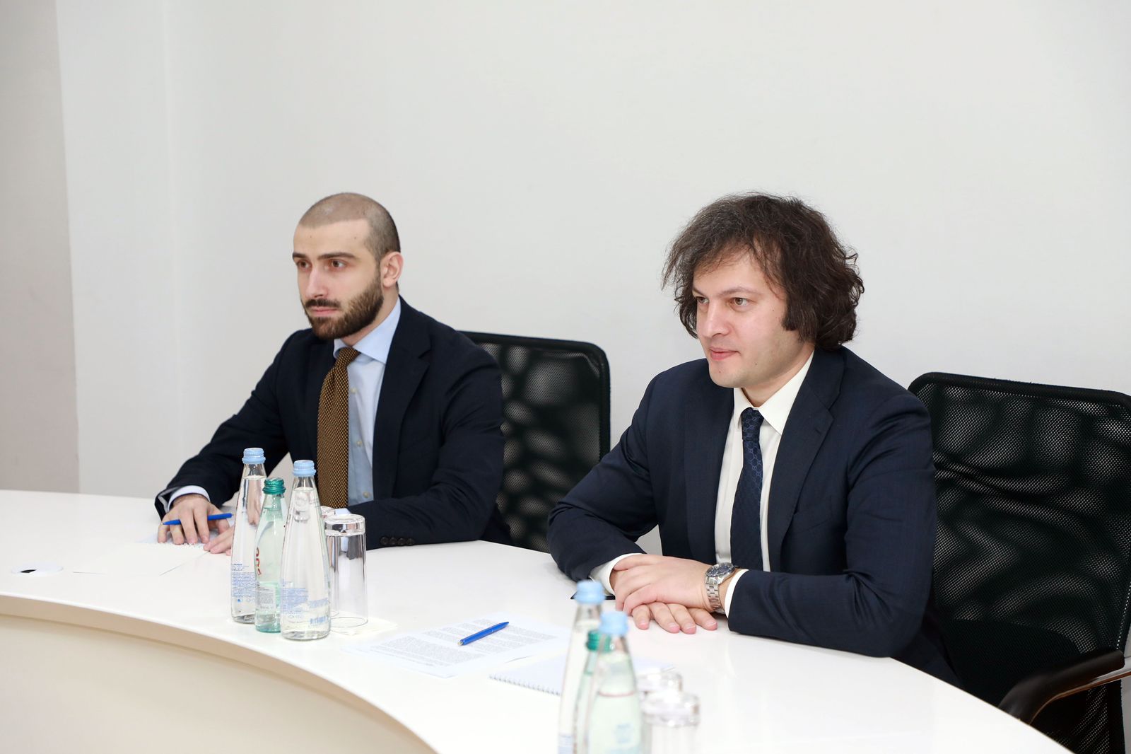 Georgian ruling party head meets EU ambassador