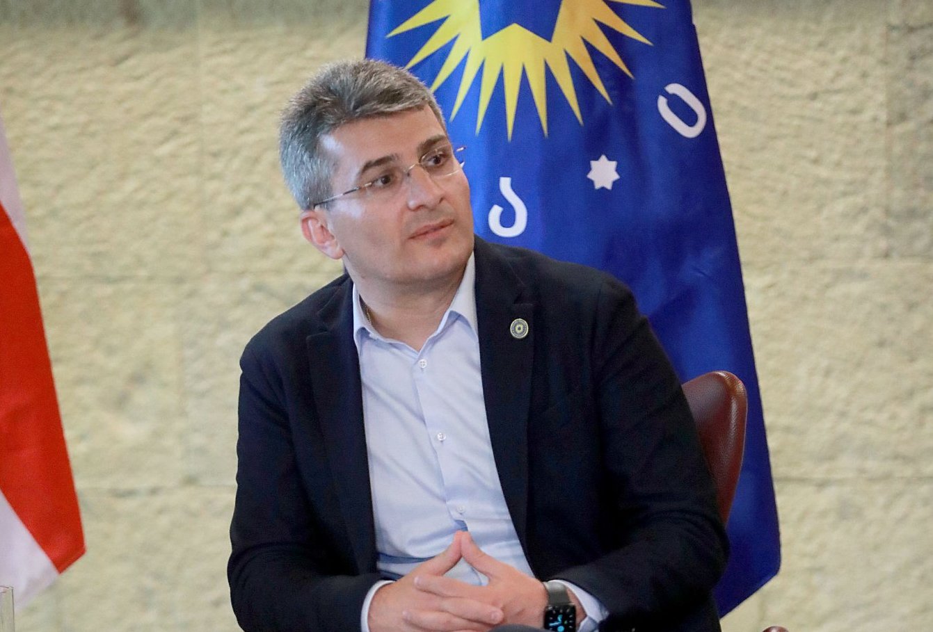 President “afraid” of public reaction if she pardons Saakashvili – ruling party MP