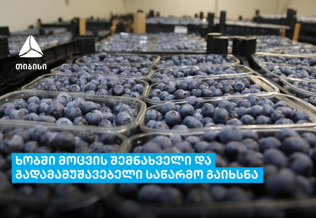ხობში, თიბისის მხარდაჭერით, საწარმო – „ბლუ ბერდ ბერიზ“ ამოქმედდა