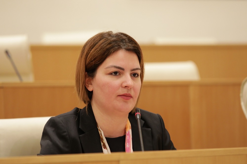 Enacting foreign influence bill means Georgian govt deliberately blocking EU, US ties – opposition MP