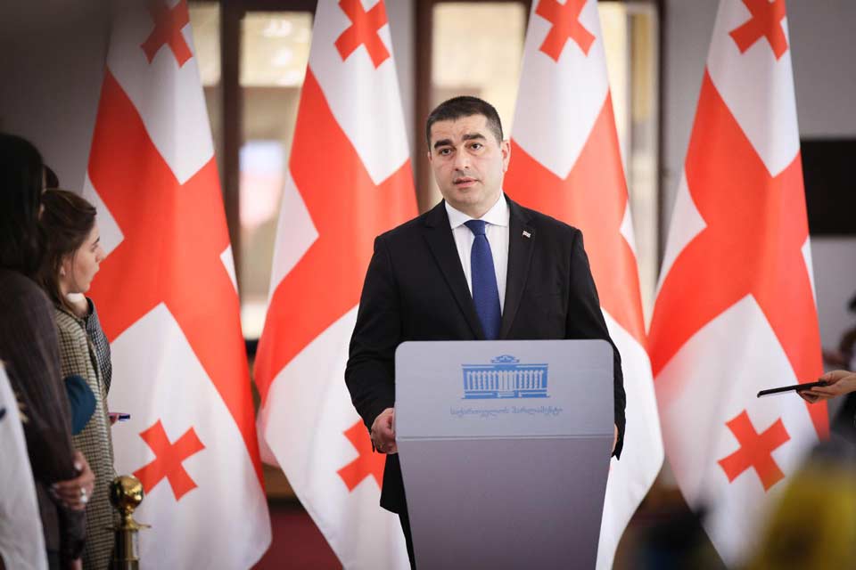 Georgian Parliament Speaker: presence of wanted ex-official in Ukrainian Gov’t, his foreign meetings, “undermine” democratic values