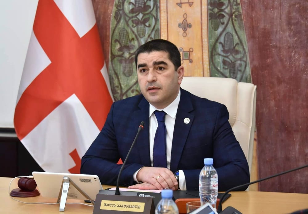 Relations between Georgian, Ukrainian parliaments “very warm, friendly” – Georgian Parliament Speaker
