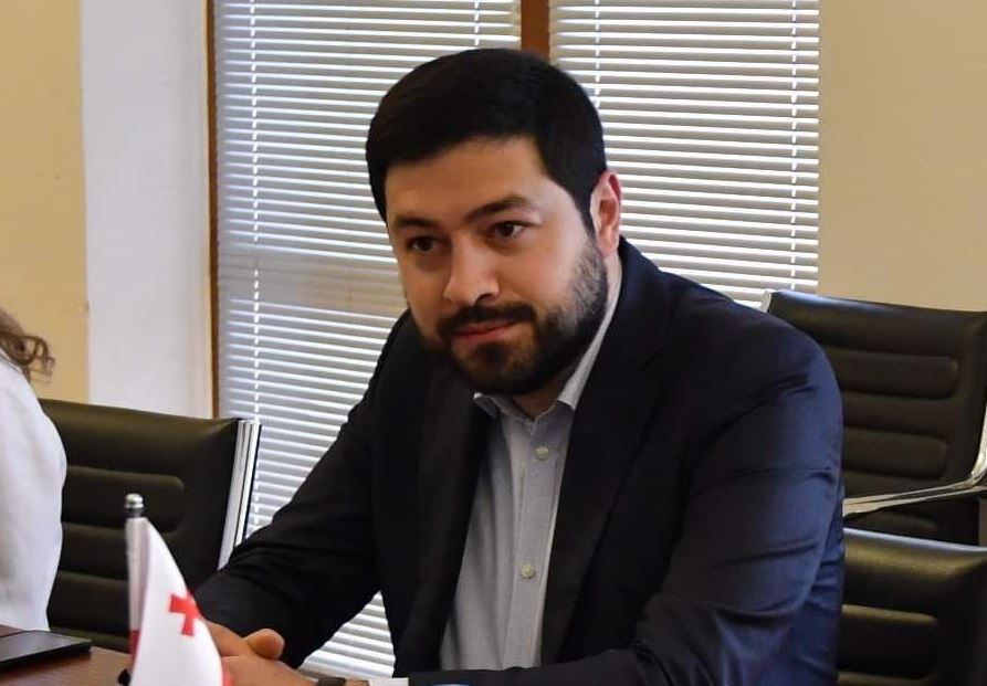 ლევან ქარუმიძე ევროპარლამენტარების წერილზე – ვინც ხელი მოაწერა, საკუთარ თავს საქართველოს მეგობარი არ უნდა უწოდოს