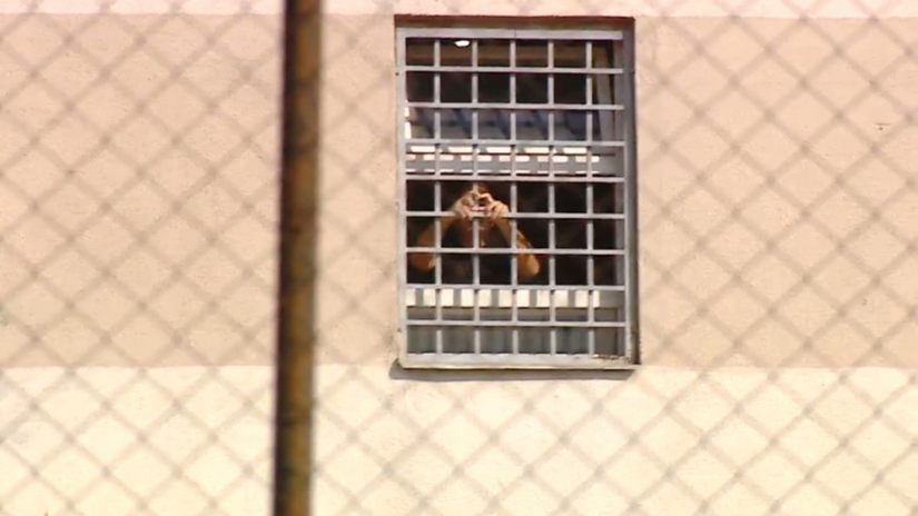 მიხეილ სააკაშვილი აქციის მონაწილეებს ციხის საკნიდან მიესალმა