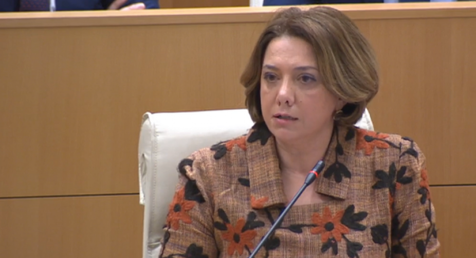 Opposition MP: Ivanishvili’s Government breaching constitution