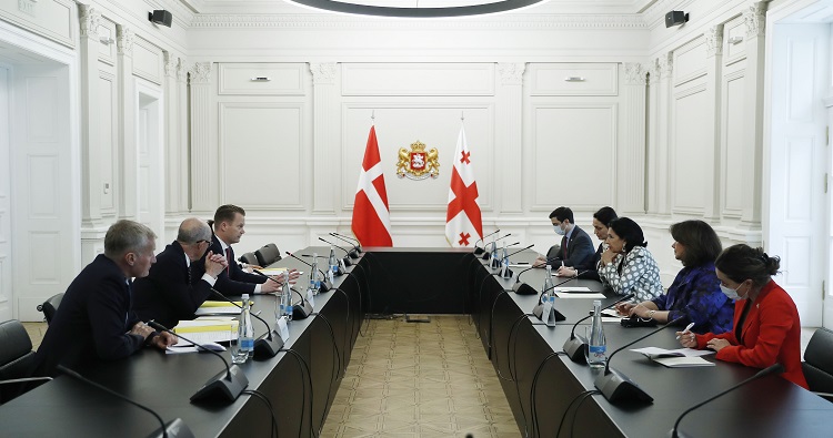 Georgian President meets Danish FM: “occupation couldn’t stop Georgia’s move to Europe”