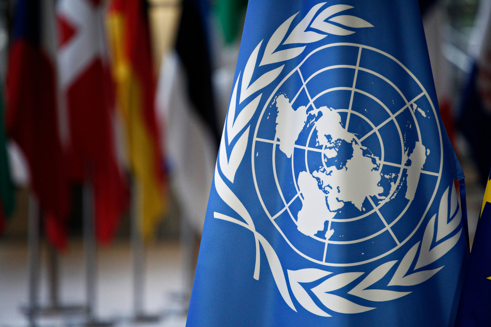 55 Georgian pro-Russian organizations request UN engagement for political neutrality of Georgia, Ukraine