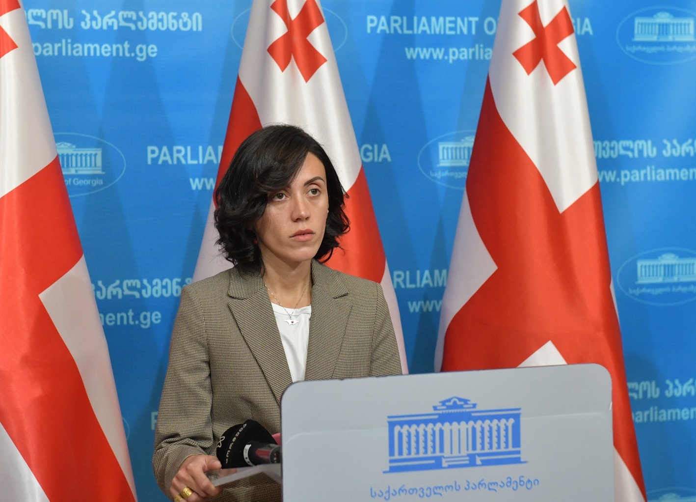 Opposition’s message to Borrell will be Georgia should get EU candidacy – opposition MP
