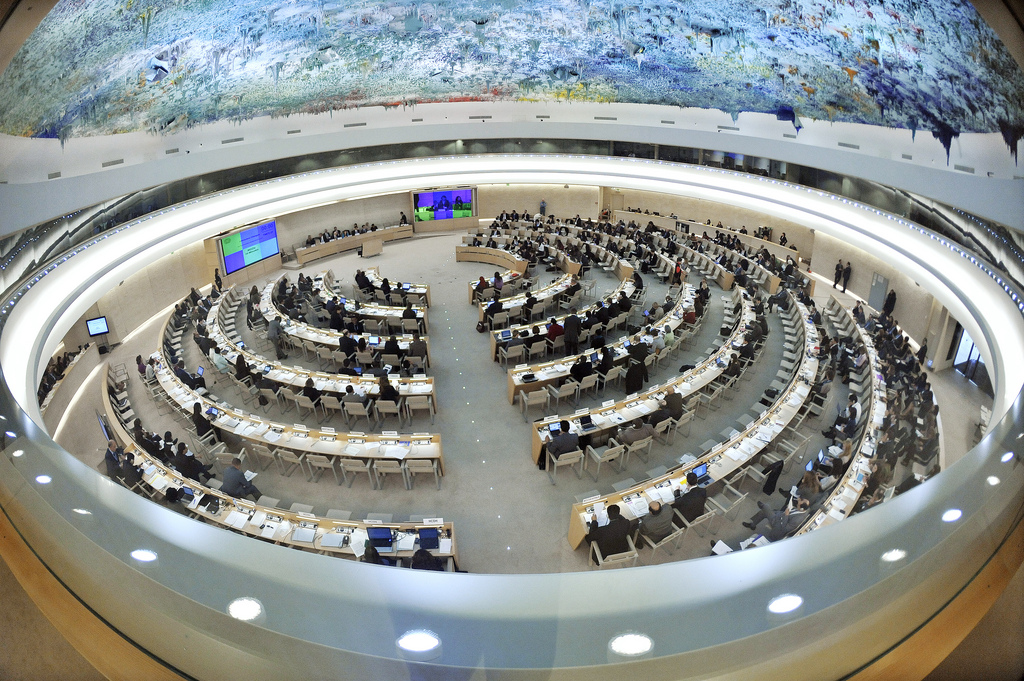 Georgia elected a member of the UN Human Rights Council