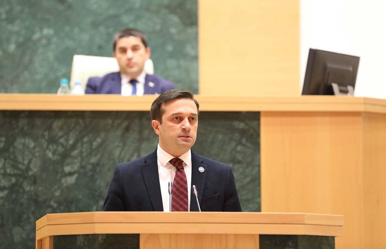 Foreign agents bills “violate citizens’ dignity”, may hamper Georgia’s EU integration – public defender candidate
