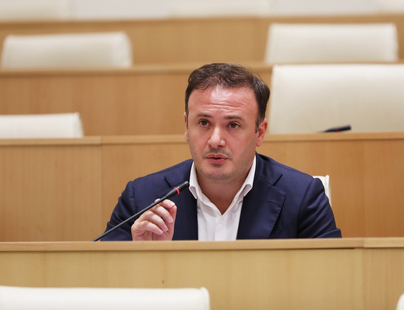 Ruling party MPs slam For Georgia initiative on re-shift to direct presidential elections