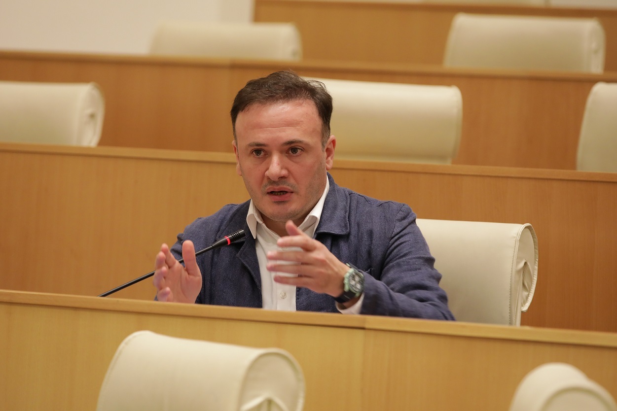 Georgian ruling party MP calls for recall of German Ambassador