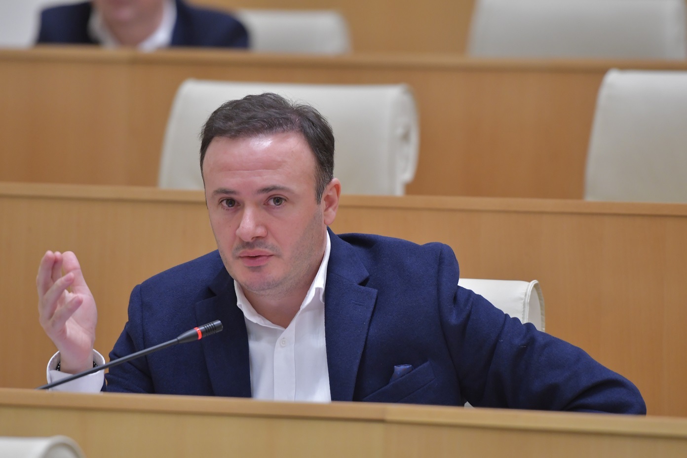 Georgian Dream MPs Zarkua and Sanikidze respond to physical altercation in Abu Dhabi