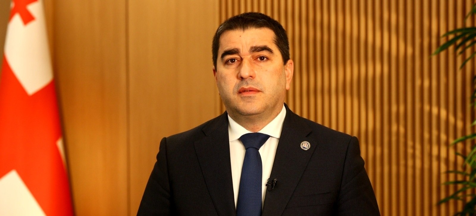 Georgia’s Speaker praises Garibashvili’s legacy after exit from politics