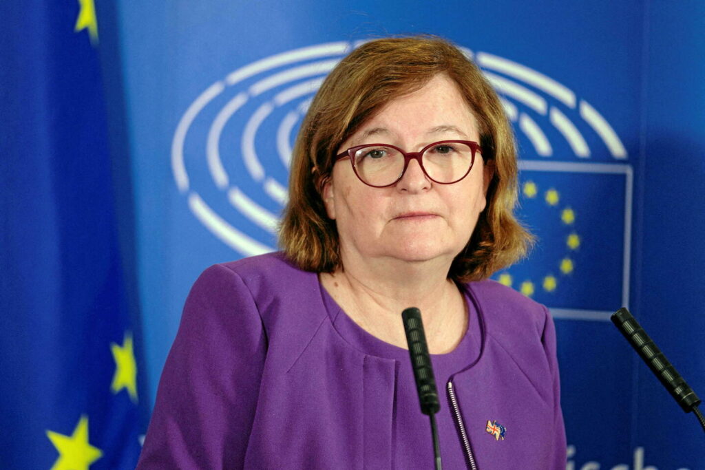 MEP Loiseau calls for debate on election irregularities in Georgia