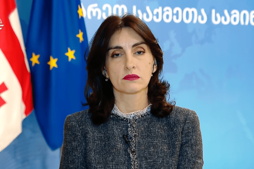 Georgian FM accuses foreign powers of meddling in domestic politics
