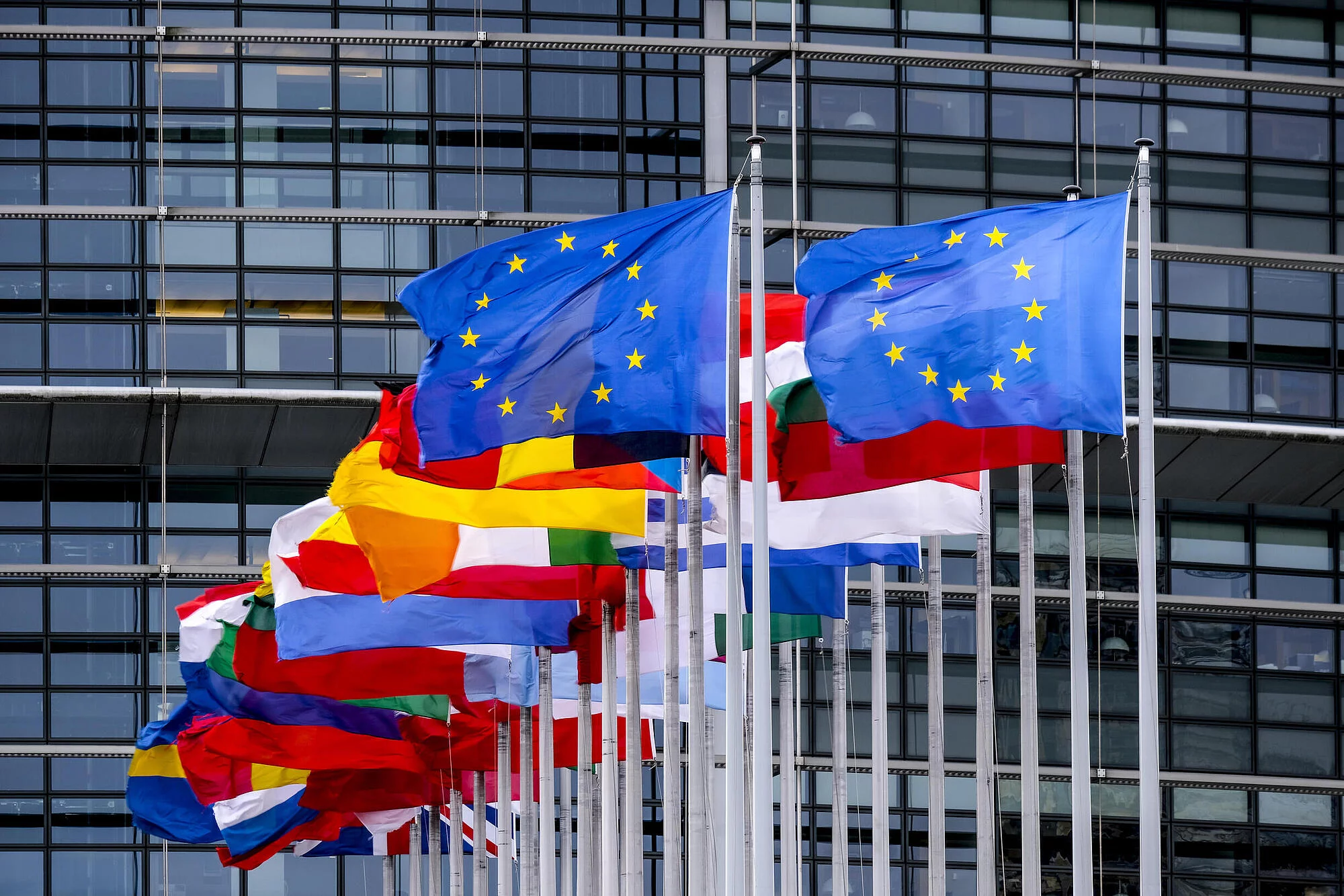 15 EU countries call for renewed diplomatic outreach to Russia's allies to secure Ukraine ceasefire