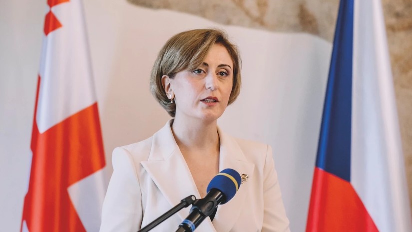 Ex-Ambassador says Georgian Gov't prioritizes Russian interests over Georgia after withdrawal of UNWTO candidate