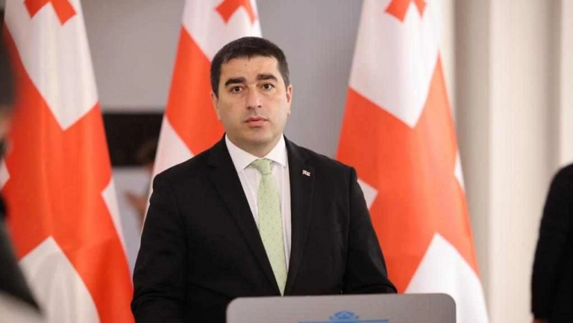 Georgian Parliament Speaker accuses German Ambassador of judicial interference