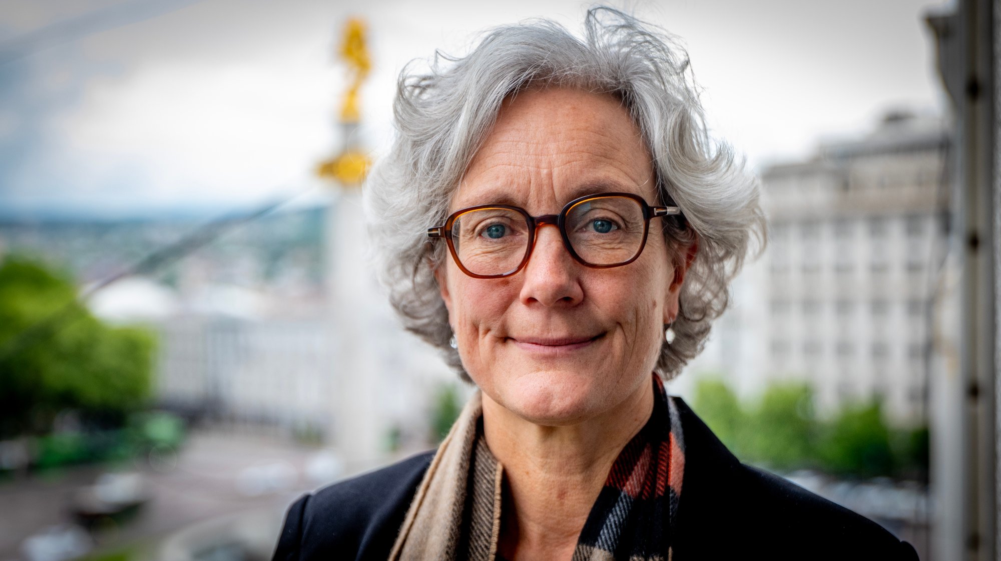 Norwegian Ambassador slams Georgian Gov't for "crackdown on opposition"