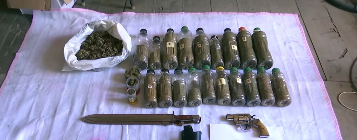 Seven arrested in eastern Georgia over illegal firearms, major drug haul
