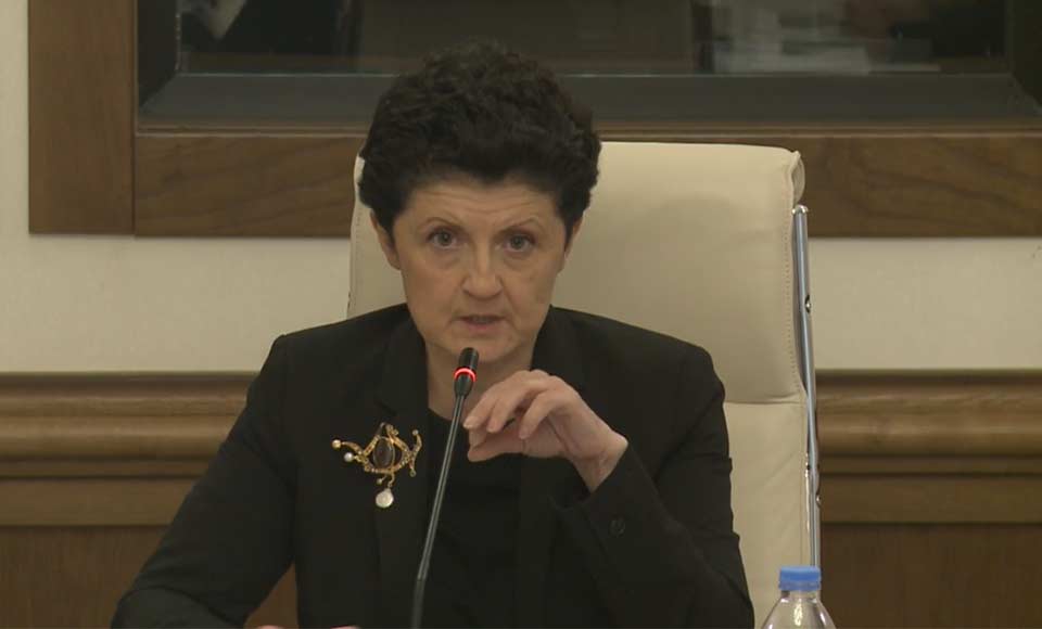 Visa talks with EU were like ‘wrestling match’, Georgian Vice Speaker
