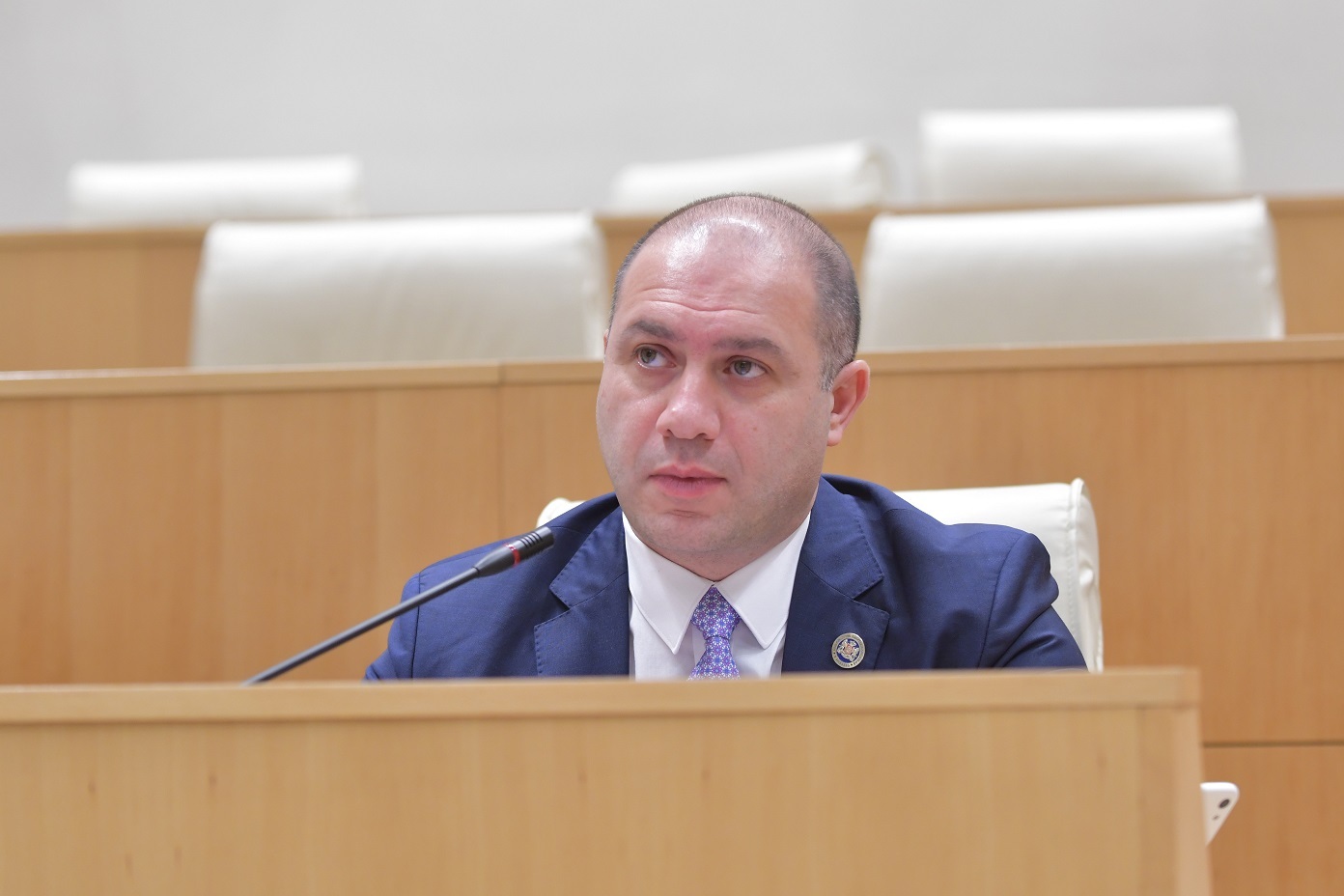 Givi Mikanadze appointed as Georgia’s new Minister of Education, Science and Youth