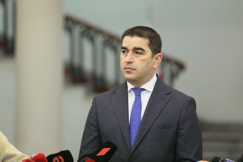 Georgian Parliament Speaker dismisses EU visa suspension concerns as baseless