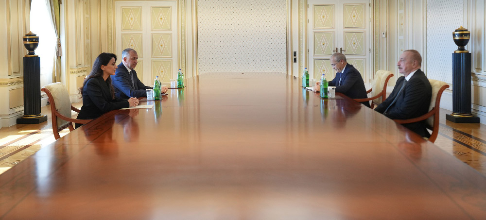 Georgian Economy Minister meets Azerbaijani President to ‘strengthen’ strategic partnership