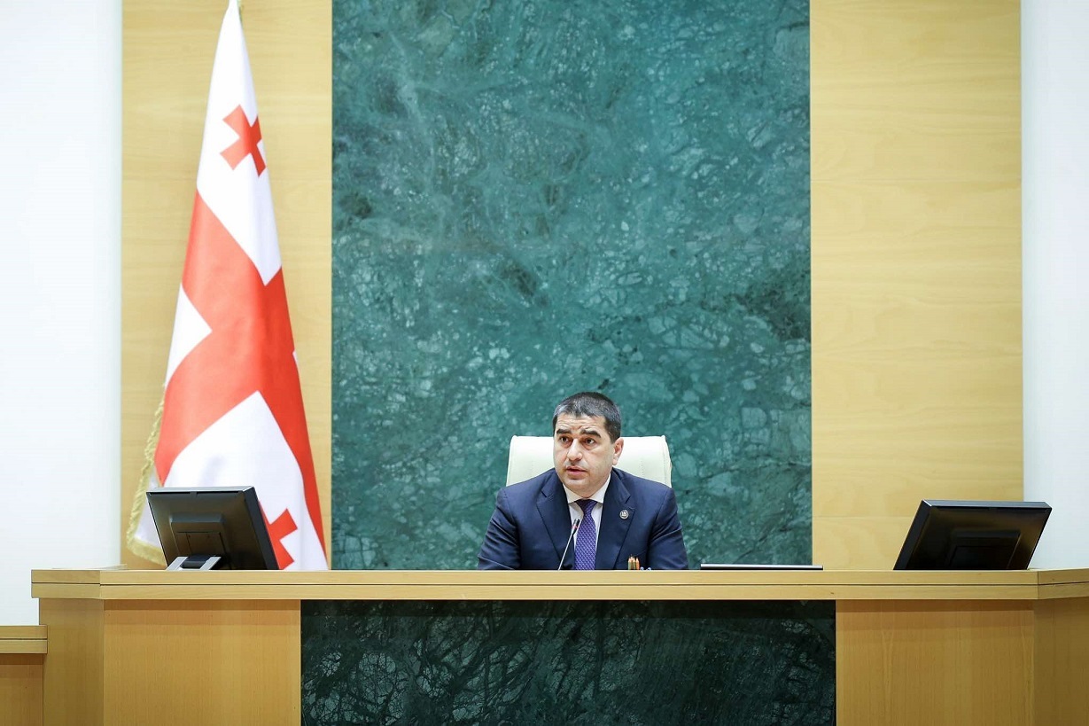 Georgian Speaker slams ‘Russian interference’ narrative, questions Western influence