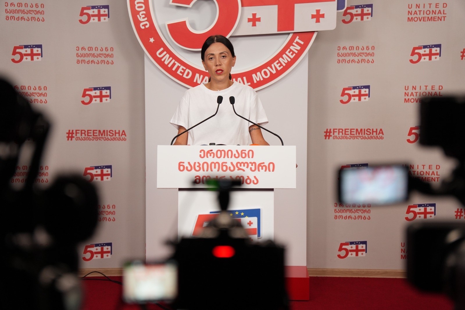 UNM’s Tsitlidze slams Service Service appointment as sign of ‘crisis’ in ruling party