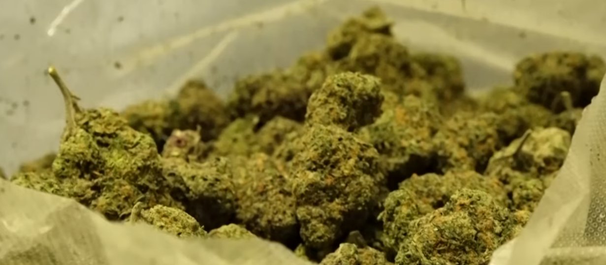 Foreign citizen arrested at Tbilisi airport over smuggling 20 kg of marijuana 