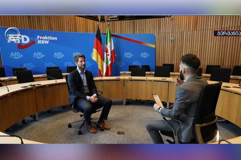 მარტინ ვინცენი - მიუღებელია საქართველოს შიდა საქმეებში ევროკავშირის სახელით ჩარევა