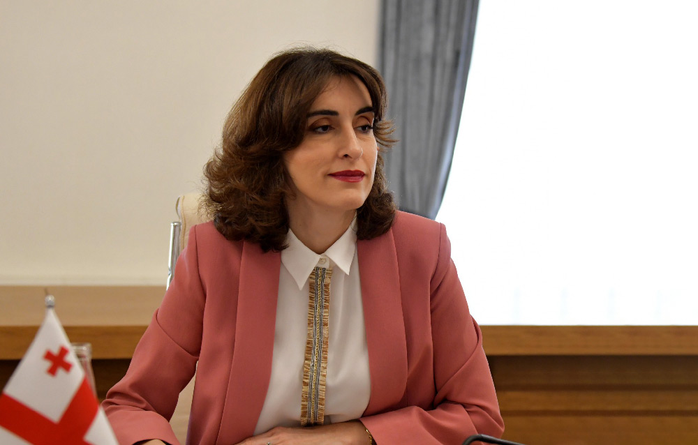 Georgian FM urges EU to show ‘fair treatment’ towards government