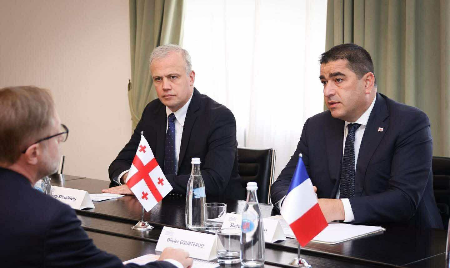 Georgian Parliament Speaker meets new French ambassador, pledges closer ties