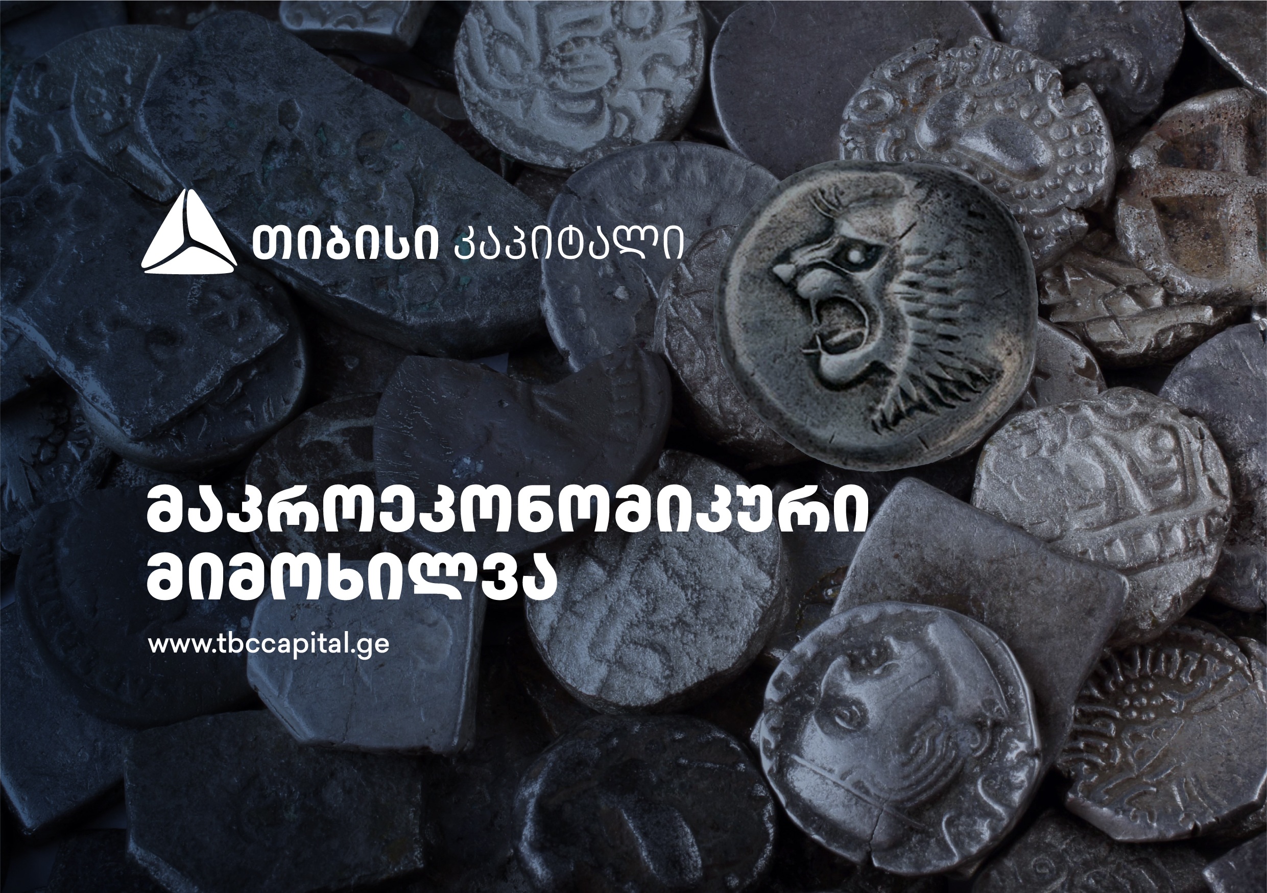 თიბისი კაპიტალმა მაკროეკონომიკური მიმოხილვა გამოაქვეყნა - ლარზე მოქმედი ძირითადი ფაქტორები