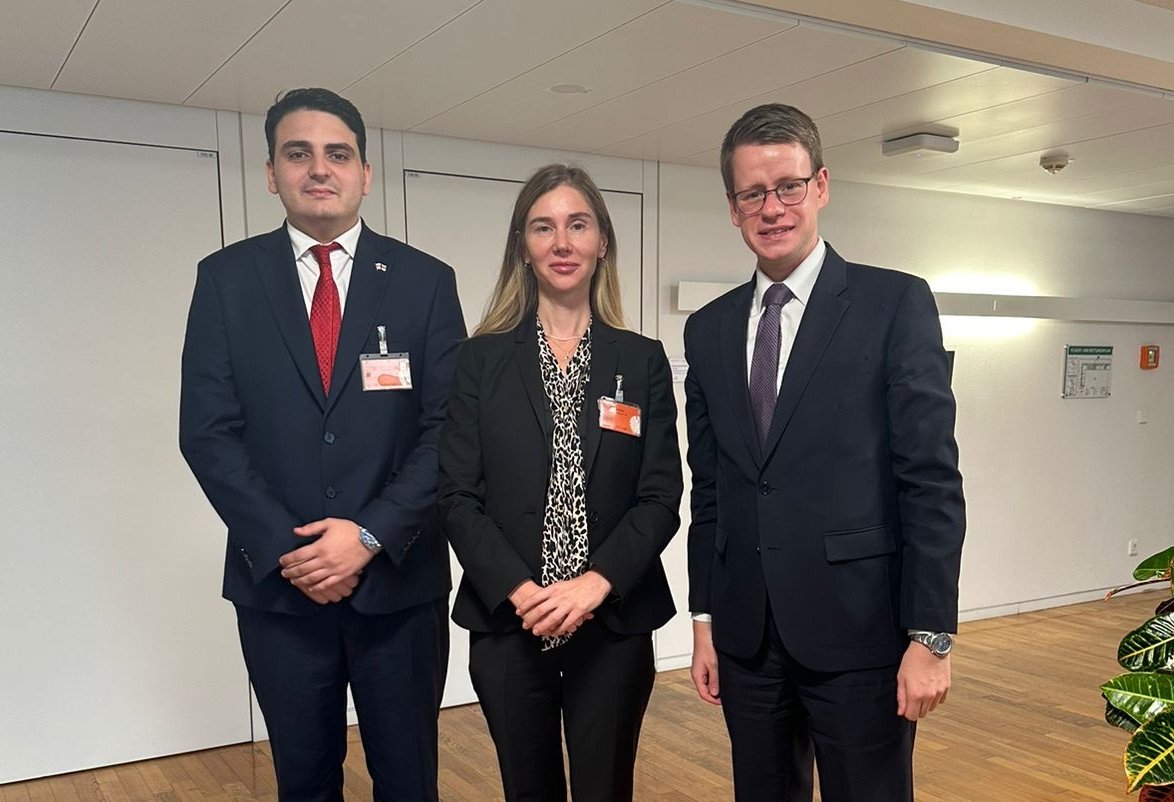 თინა ბოკუჩავა - სწორედ გერმანიამ უნდა აიღოს ინიციატივა მათ შორის იმისთვის, რომ არ მოხდეს საქართველოს მოქალაქეებისთვის უვიზო მიმოსვლის შეჩერება