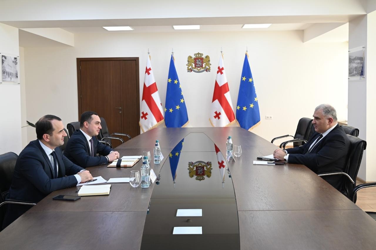 გიორგი ჯინჭარაძე საქართველოს ოკუპირებული ტერიტორიებიდან დევნილთა, შრომის, ჯანმრთელობის და სოციალური დაცვის მინისტრს შეხვდა