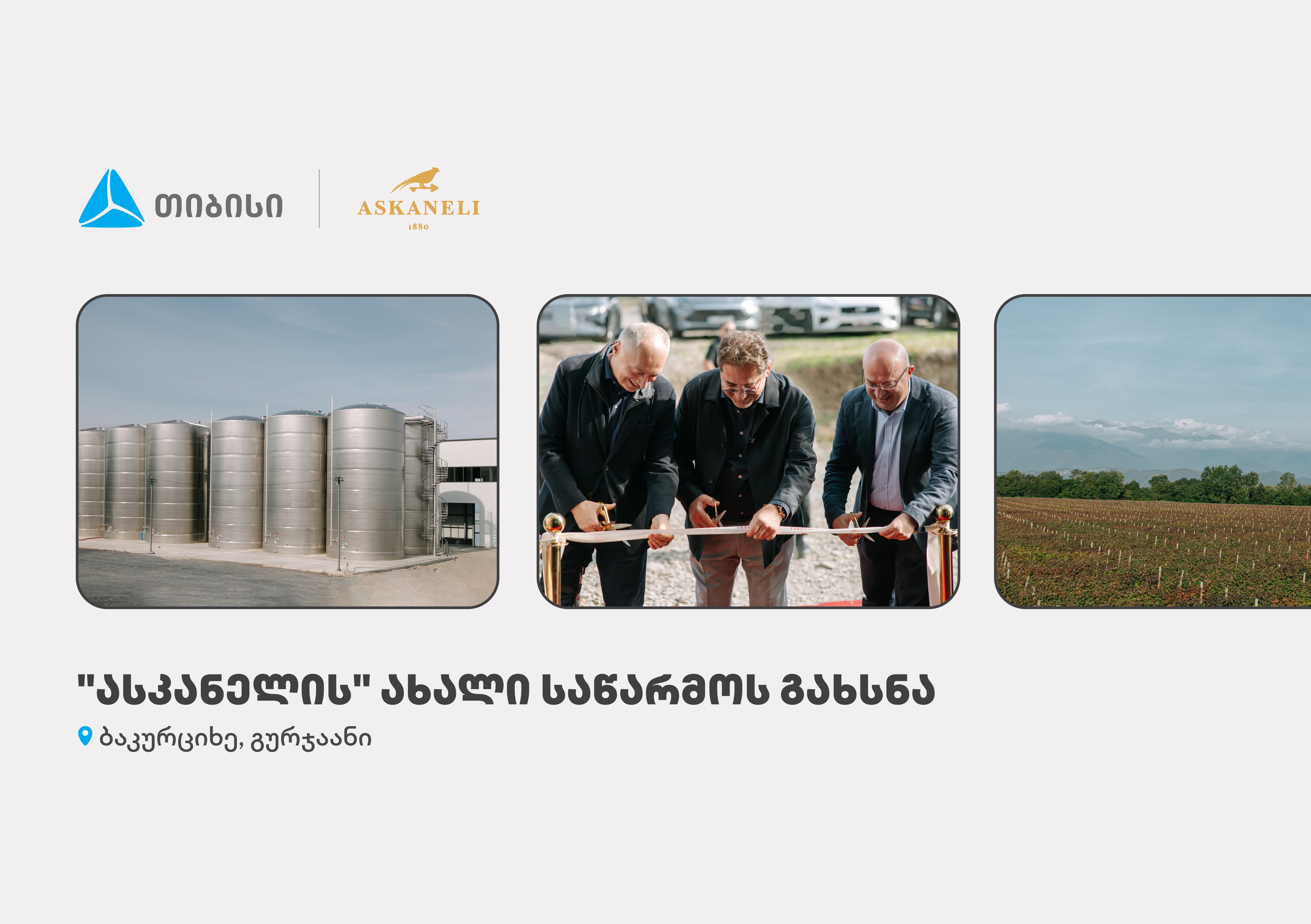 თიბისის მხარდაჭერით, ბაკურციხეში “ასკანელის” ქარხანა გაიხსნა