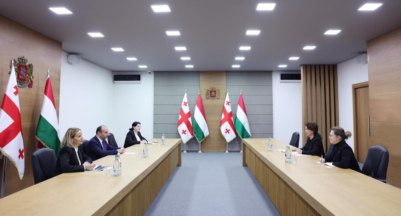 გეკა გელაძემ უნგრეთის ელჩთან შეხვედრა გამართა