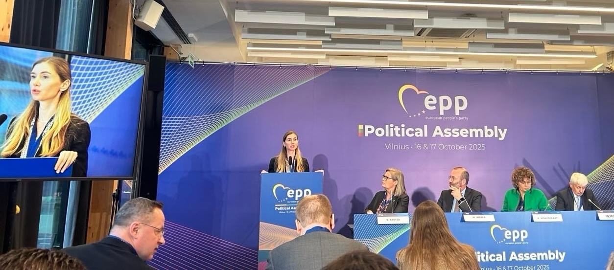 Georgian opposition leader calls for targeted EU sanctions against Ivanishvili, not citizens