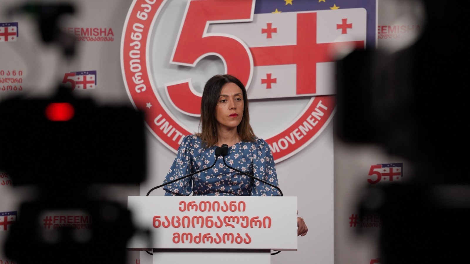 UNM’s Tsitlidze: anyone else facing charges like former PM Gharibashvili would be in prison