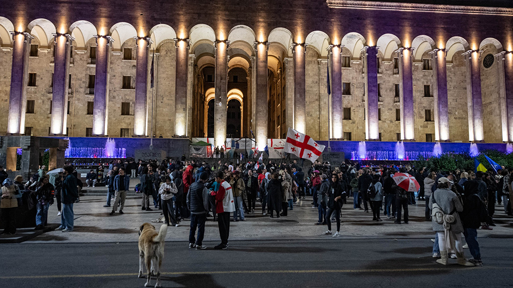 29 people detained in Georgian capital over past five days of protests