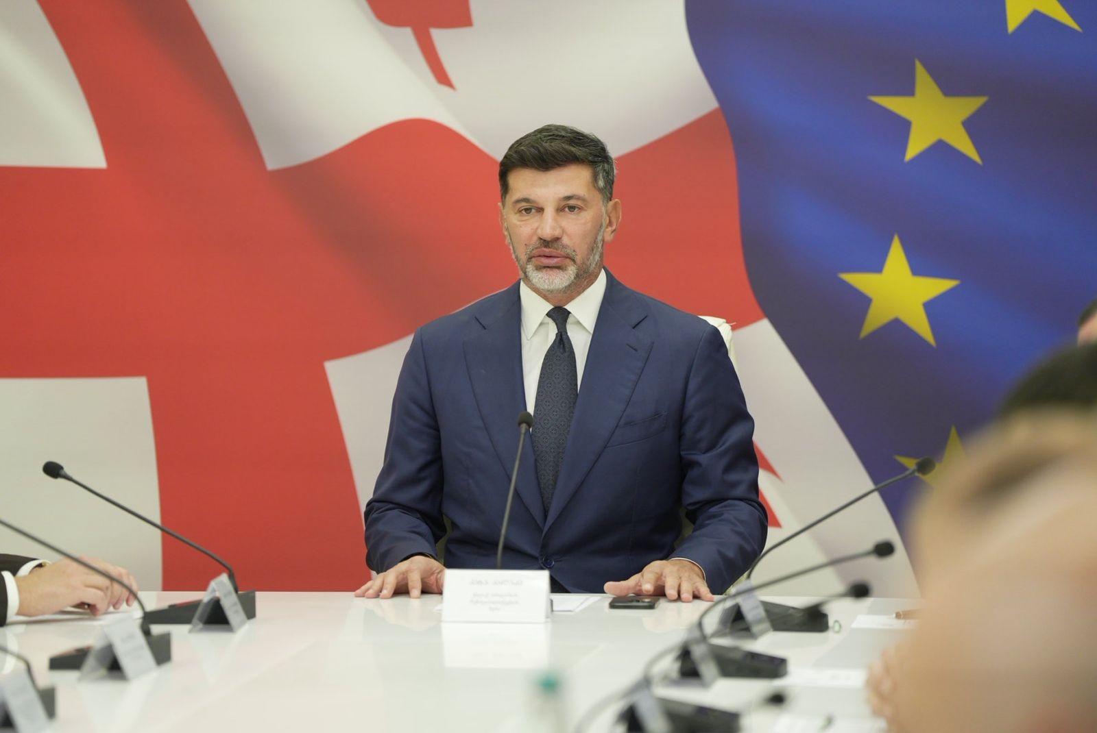 Illegal land grabbing, construction remain major challenge, Tbilisi Mayor