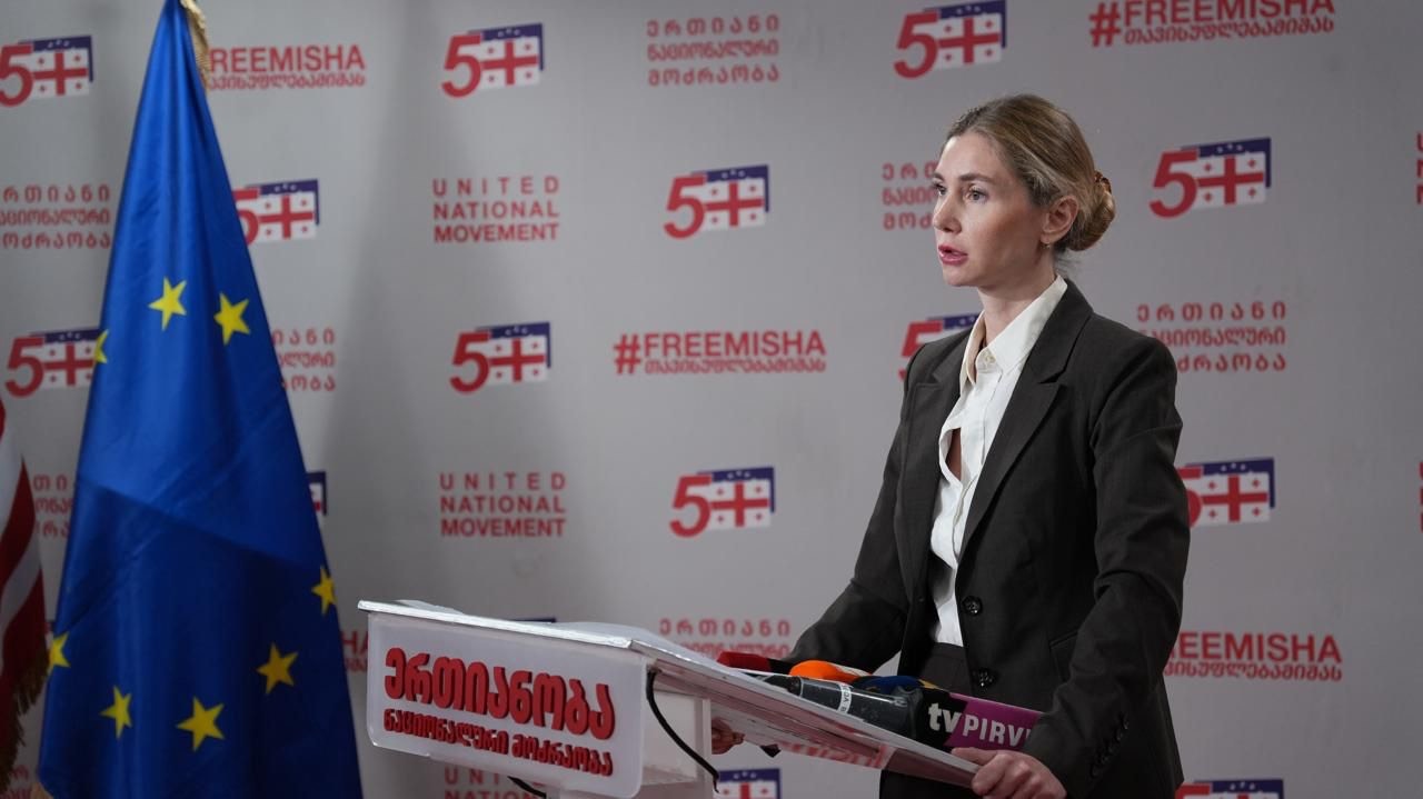 UNM leader Bokuchava: western partners see no real alternative to regime amid opposition fragmentation