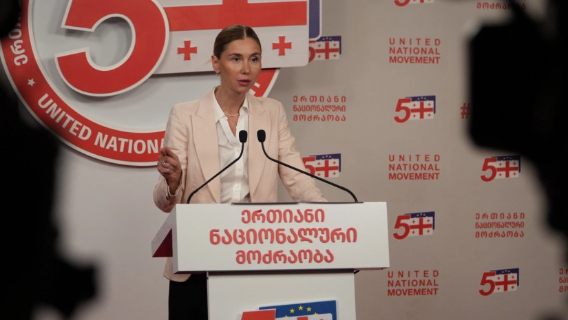 UNM’s Bokuchava: EPP pushes emergency resolution on Georgia over ‘authoritarian steps’