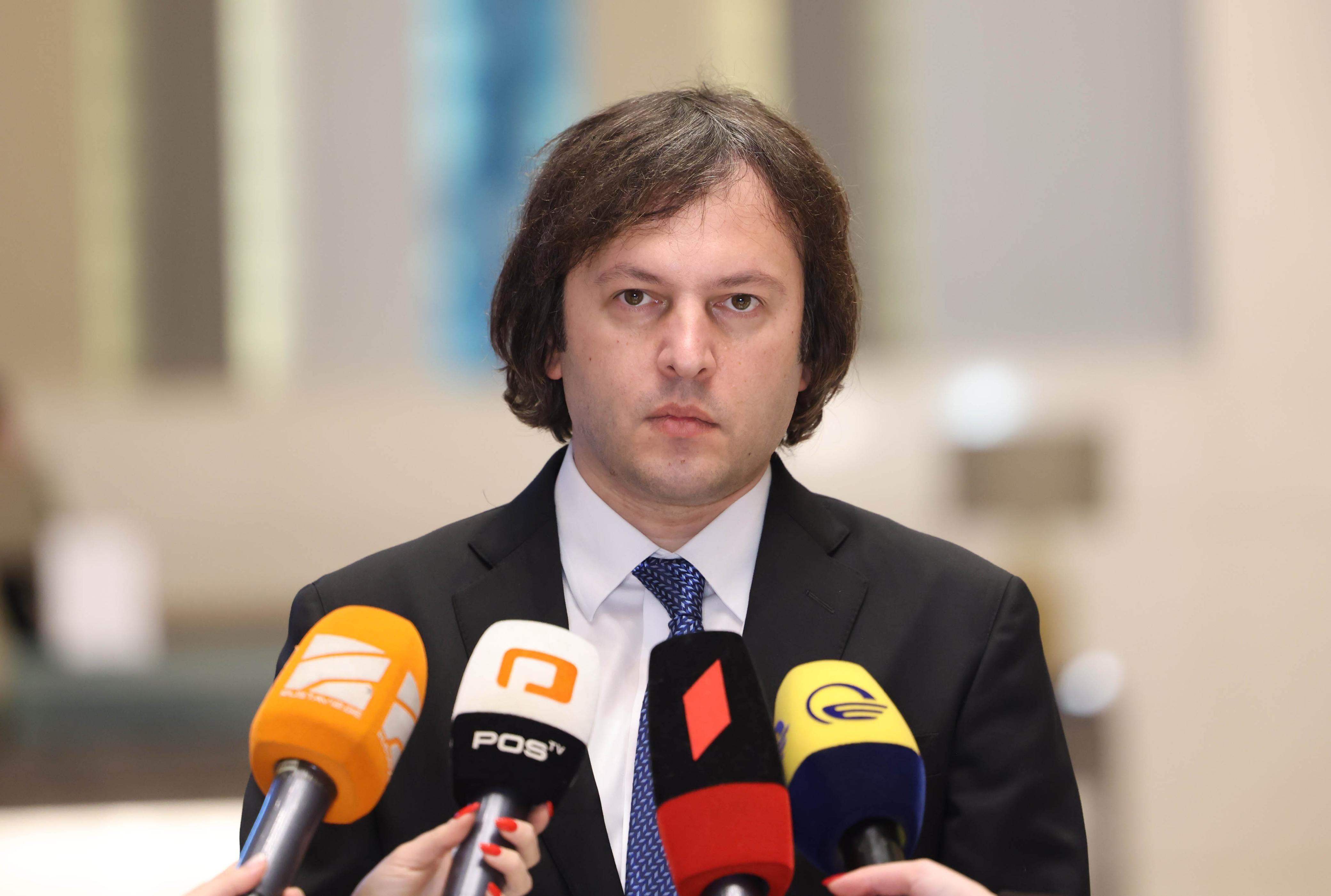 Georgian PM: lack of independent democratic system has prevented formation of 'healthy opposition'