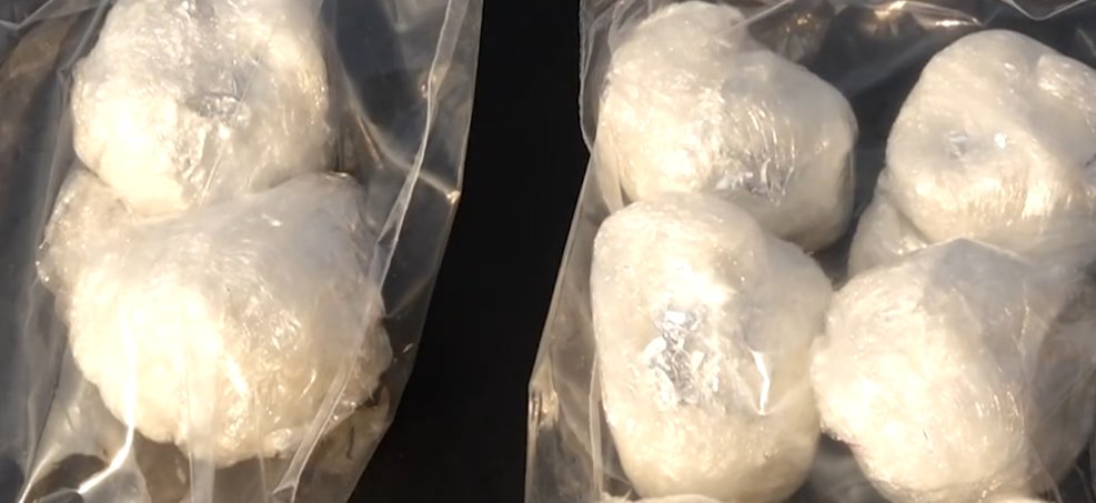 Seven suspects arrested in Georgia on major drug trafficking charges