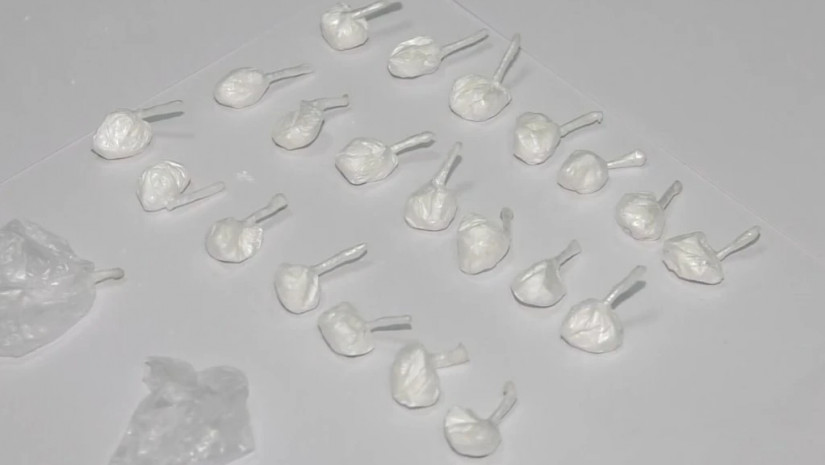 განსაკუთრებით დიდი ოდენობით ნარკოტიკული საშუალების საქართველოში უკანონოდ შემოტანის ფაქტზე თურქეთის მოქალაქე დააკავეს