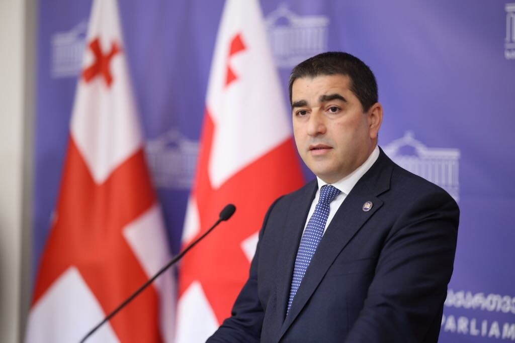 Georgia’s Parliamentary Speaker accuses French Embassy of ‘indirect financing’ of ‘radical groups’